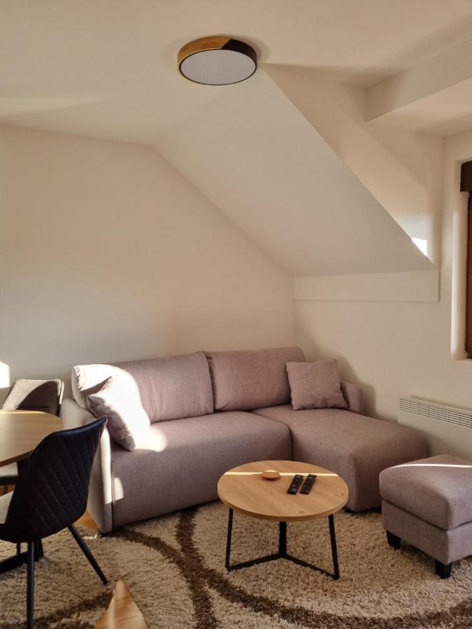 Goga Apartmani Ζλάτιμπορ Εξωτερικό φωτογραφία